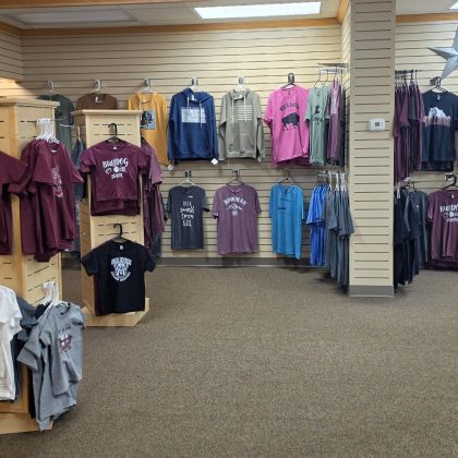 Gallery Picture