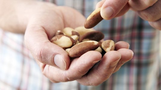 Handful of brazil nuts
