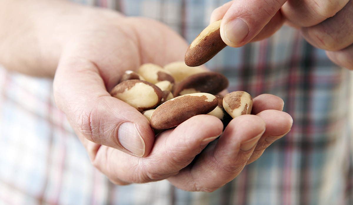 Handful of brazil nuts