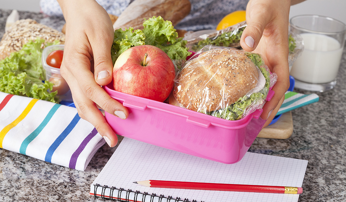 A person holding a healthy lunchbox