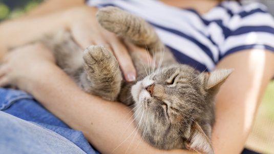 A person holding a kitten in her arms