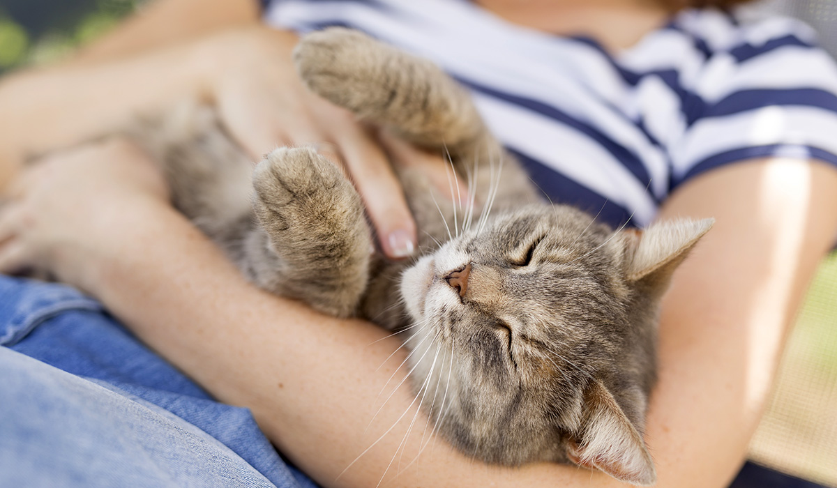 Pet Care - Good Neighbor Pharmacy