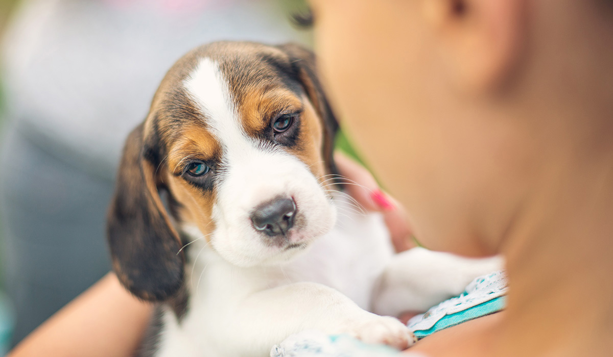 Pet Care - Good Neighbor Pharmacy