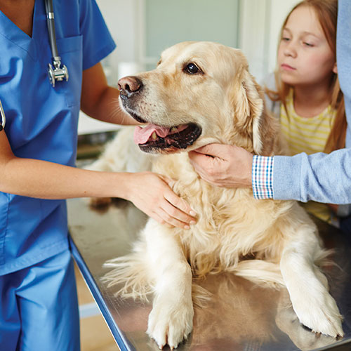 Pet Care - Good Neighbor Pharmacy
