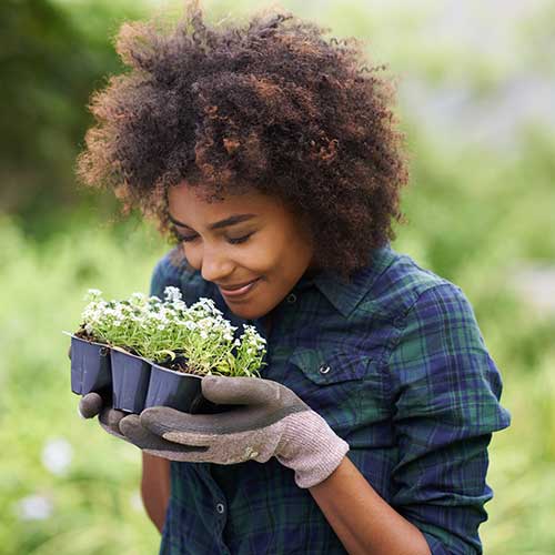 Gardening