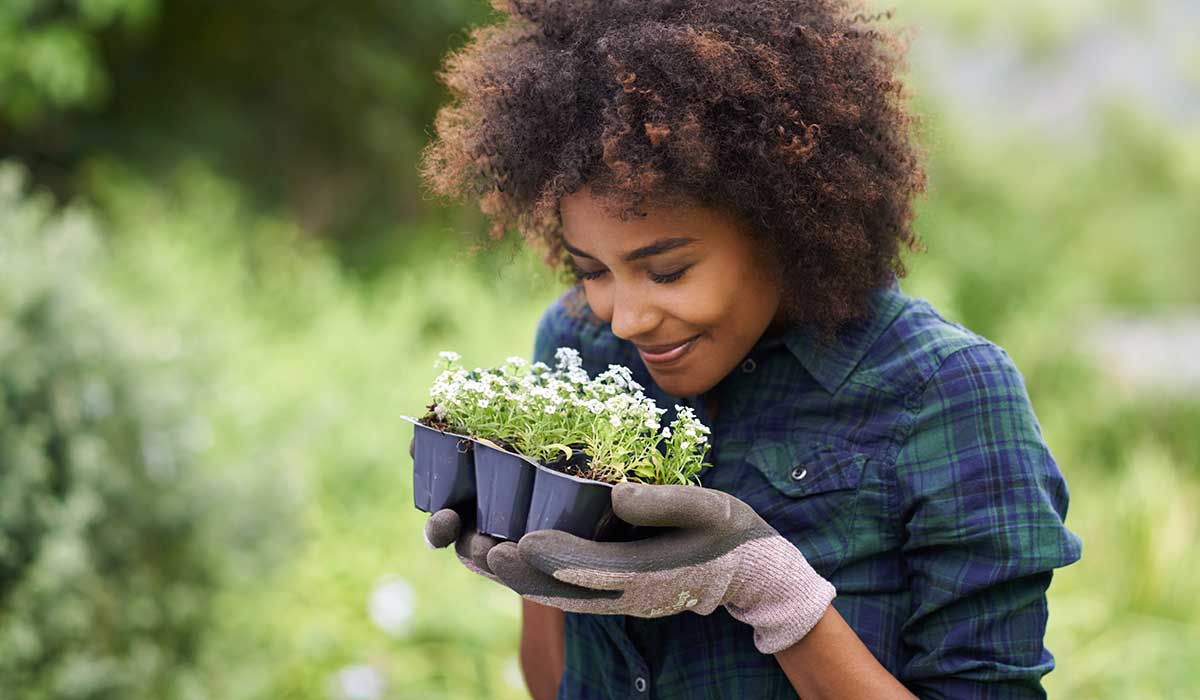 Gardening